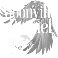 Moonville Tunnel in Zaleski, Ohio is along the Vinton County Rail Trail. Haunted and hikes by Jannette Quackenbush